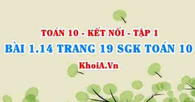 Bài 1.14 trang 19 SGK Toán 10 tập 1 Kết nối tri thức